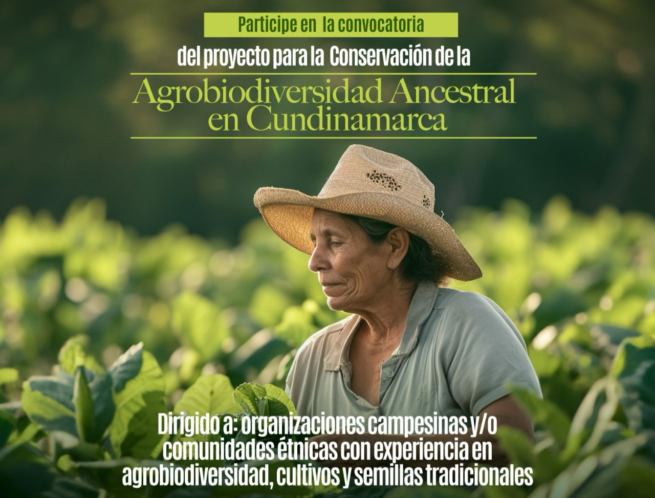 CONVOCATORIA-IDENTIFICACIÓN Y SELECCIÓN DE ORGANIZACIONES CAMPESINAS Y/O COMUNIDADES ÉTNICAS PARA EL PROYECTO “CONSERVACIÓN DE AGROBIODIVERSIDAD ANCESTRAL EN CUNDINAMARCA.