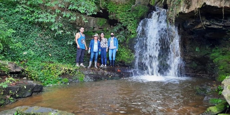 Gobernación recupera más de 3.362 hectáreas de bosque para tener más agua



