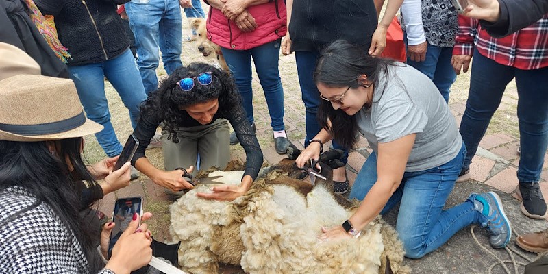 Tejilarte hace historia de nuevo en Sutatausa










