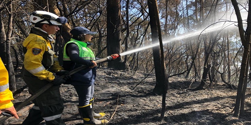 Bomberos de Cundinamarca avanzan en el control y liquidación de incendios forestales







