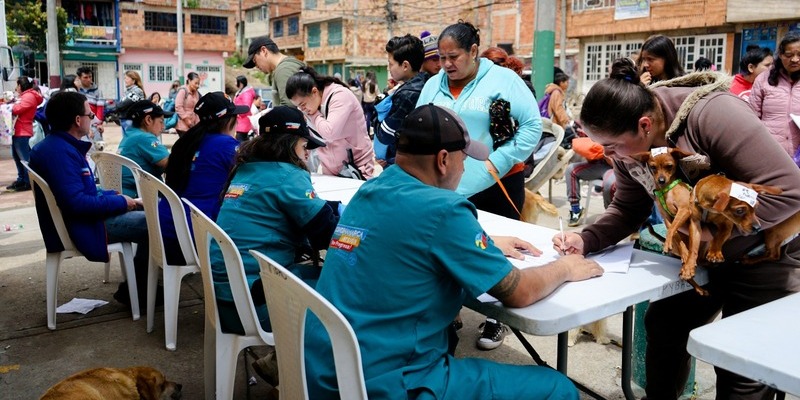 Cuarta jornada de bienestar animal conjunta entre Bogotá y Cundinamarca