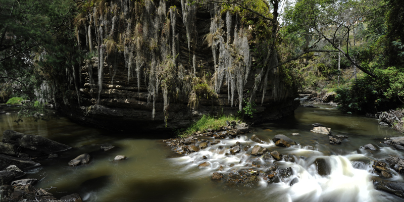 Gobernador de Cundinamarca invita a los alcaldes a celebrar el Día Internacional del Agua