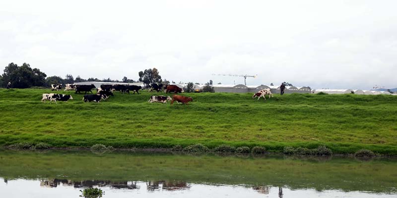 ‘PTAR Canoas es el proyecto de saneamiento básico más importante del país’: Jorge Rey