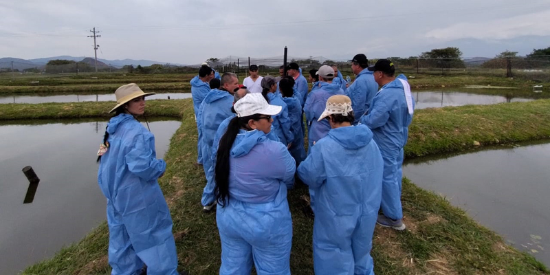 Productores piscícolas del Cundinamarca participaron en la primera Escuela de Campo





