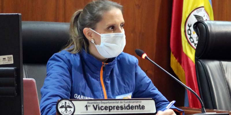 “Más Competitividad”, primera línea estratégica en ser analizada por la Asamblea de Cundinamarca

