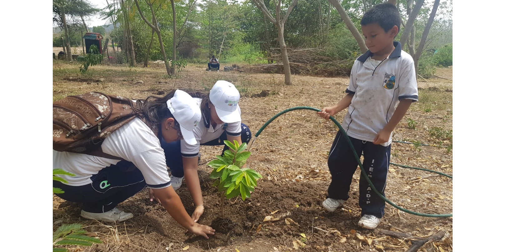 En Girardot, estudiantes siembran árboles frutales frente al cambio climático



 









