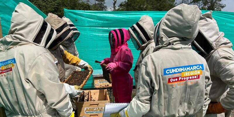 Gobierno departamental fortalece proyecto ‘Abejas con la conservación’