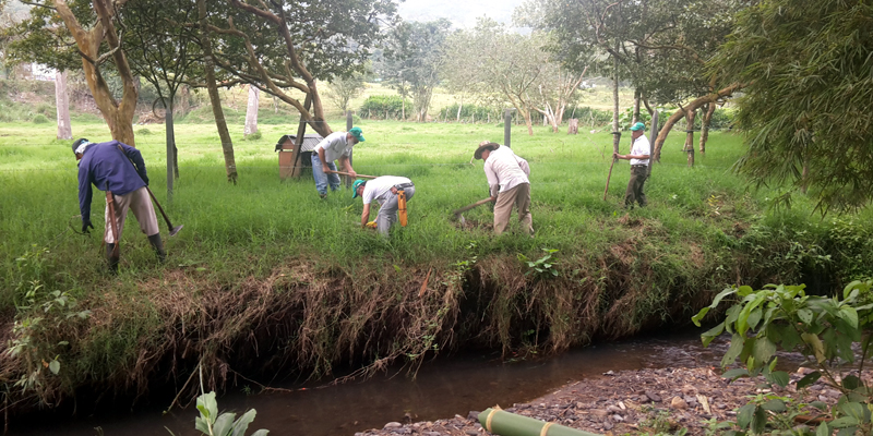 Más de 267 millones para mantenimiento forestal en Guaduas