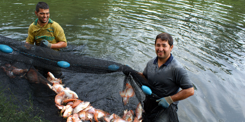 Apoyo a pescadores del río Magdalena




















