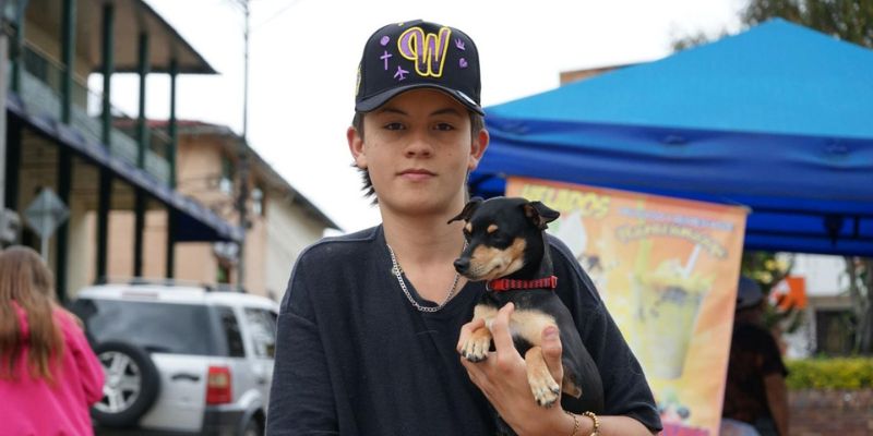 Esterilizaciones, servicios médicos y pedagogía: Cundinamarca lanza gira animal en 12 municipios
