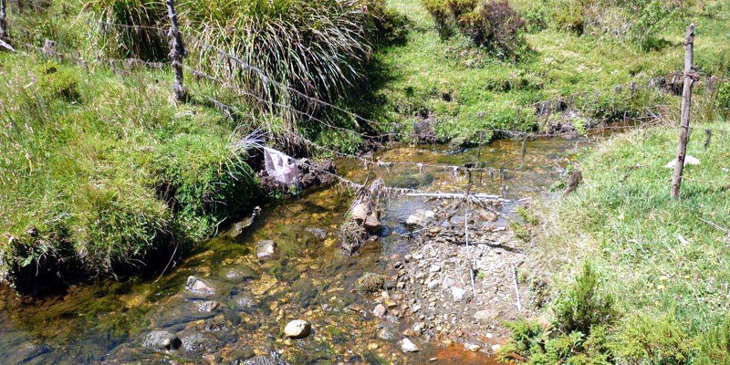 La educación ambiental se consolida en las provincias de Cundinamarca