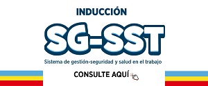 Inducción SG-SST