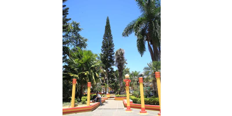 La Palma: paz, agua y bienestar