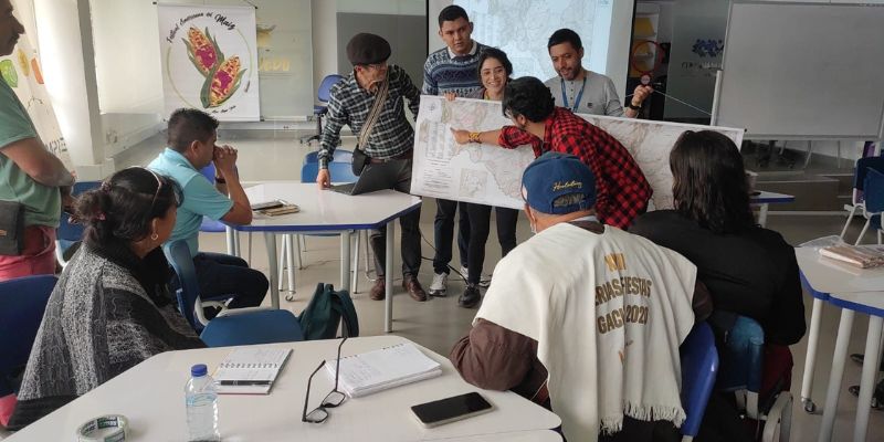 Red de 32 guardianes de semillas ancestrales preserva la memoria agrícola del departamento

