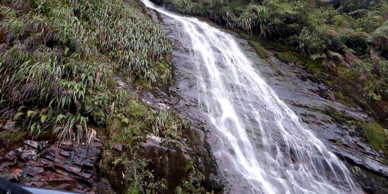 Sembremos agua para cosechar vida