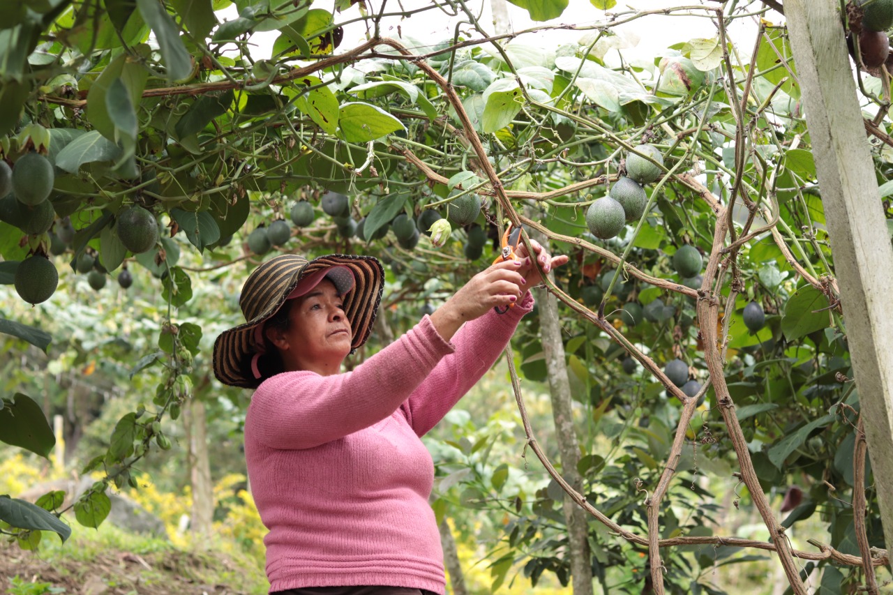 Cinco asociaciones fortalecerán sus capacidades de CTeI


