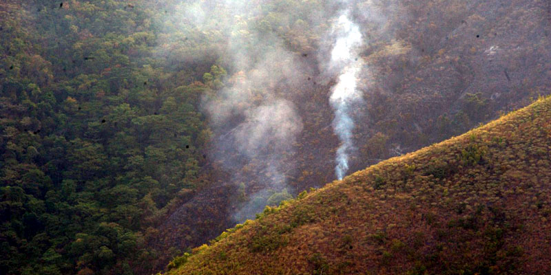 Controlado en 99% incendio forestal que llevaba tres días activo en Girardot





