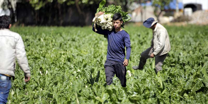 La alimentación clave para tener defensas y así combatir el Coronavirus

