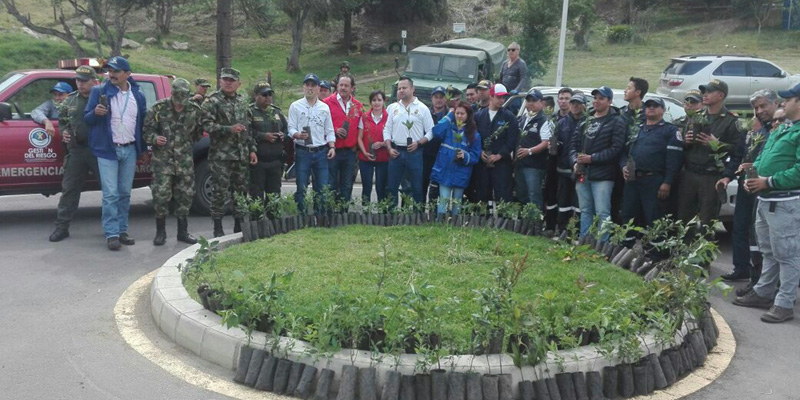 Siembra de árboles para generar conciencia ambiental













































































