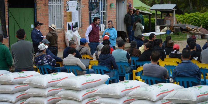 Pequeños productores de Cogua se benefician con suplemento alimenticio para bovinos