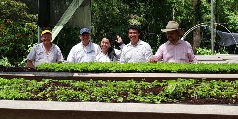 Vivero de Caparrapí: más de 500.000 plántulas entregadas para reforestar 40 municipios 