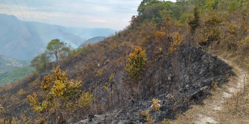 Cundinamarca reporta 15 incendios en 8 municipios, hay 90 hectáreas afectadas en dos días