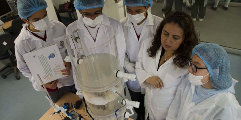 El SENA regional Cundinamarca ofrece 6.500 cupos en 86 programas de formación en diferentes niveles
