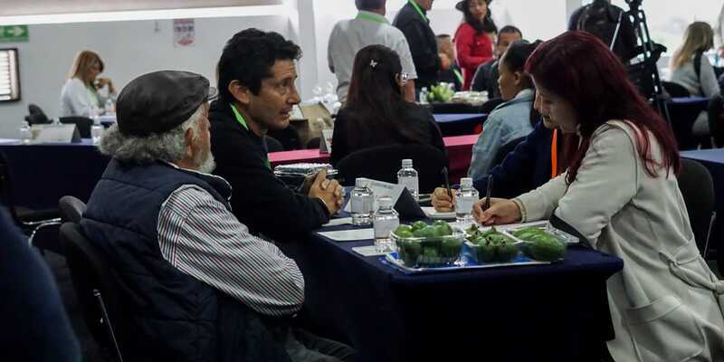 Productores de Cundinamarca en rueda nacional de negocios en el marco de AgroExpo 2023