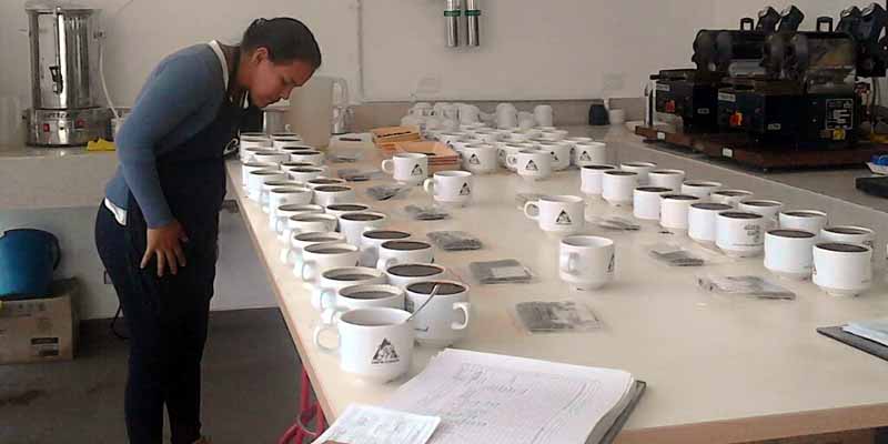 Viotuna Catadora Q-Grader, representa a Cundinamarca en concurso “Taza de café” en Ecuador

