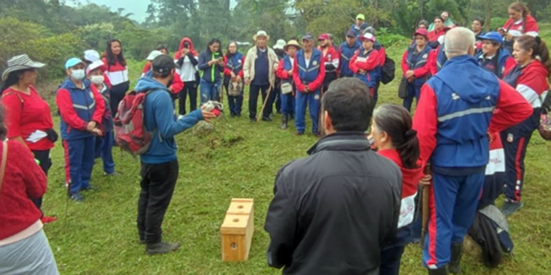Abejas con la Conservación, una apuesta para la regeneración de los ecosistemas