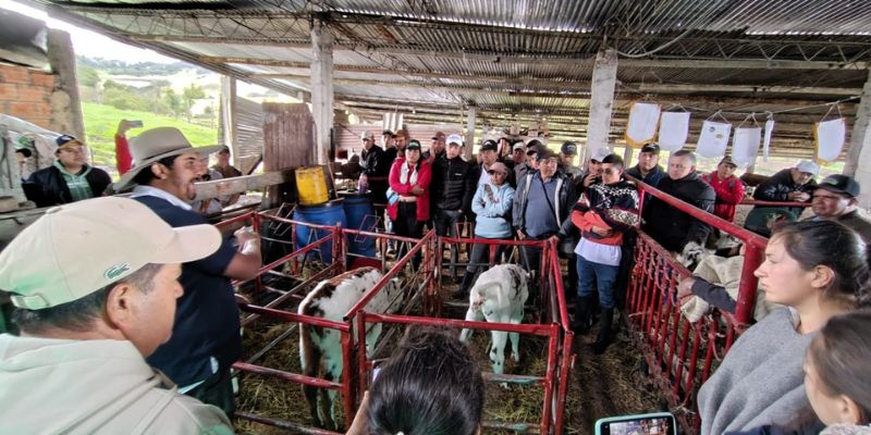 Transferencia tecnológica impulsa la  ganadería bovina en la provincia de Oriente