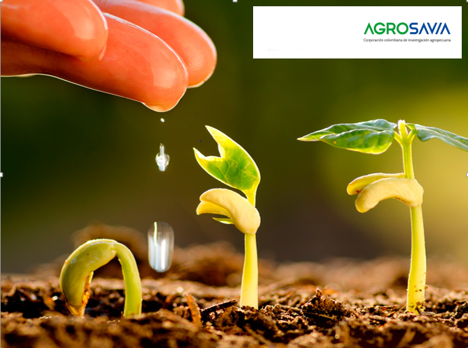 Imagen: Convenio Secretaría de Agricultura y Desarrollo Rural con Agrosavia