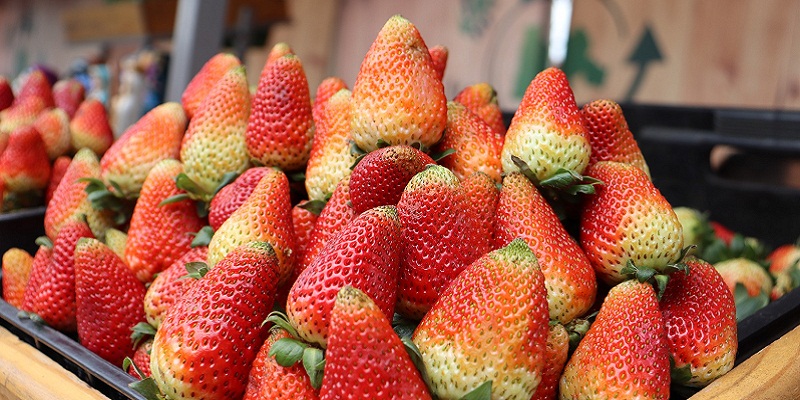 Quien lo siembra es quien lo vende, regresan los Mercados Campesinos a Cundinamarca
