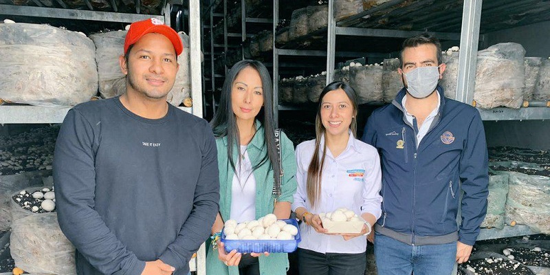Empresas certificadas en los más altos estándares de calidad para exportar







