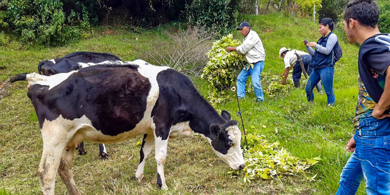 Intercambio de experiencias de ‘Yo protejo ¡agua para todos!’ con beneficiarios de Boyacá





