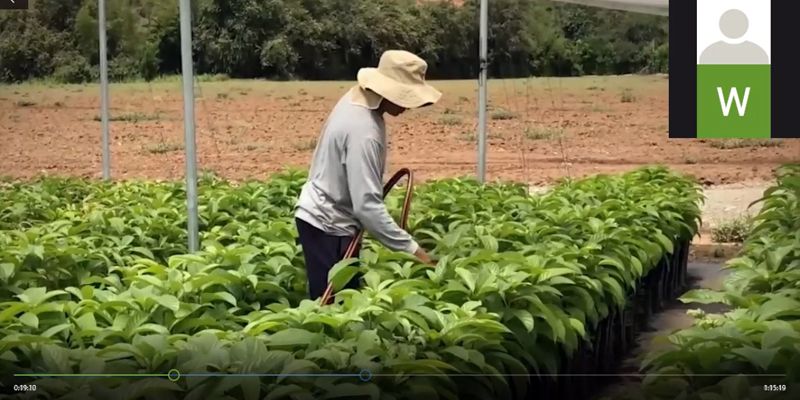 Beneficios para productores del campo que se encuentren en mora con el Banco Agrario


