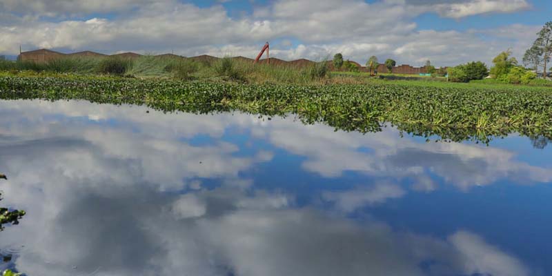 Histórica inversión para recuperación de espejos de agua
























