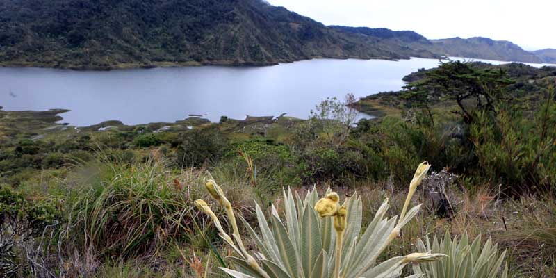 Estás en casa, estás en Cundinamarca: ¡Disfrútala!






































