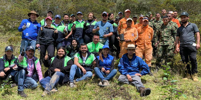 Reforestadas áreas del cerro Montecillo de Guatavita 