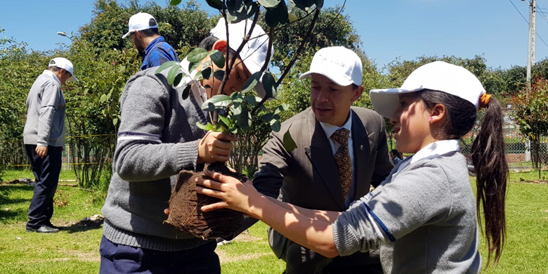 ‘Guerreros ambientales’ de Mosquera reforestan contra el cambio climático



 









