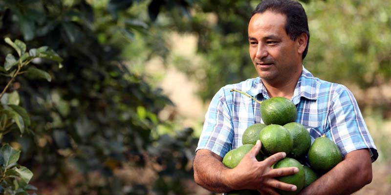Productores reciben beneficio del ICR complementario en Cundinamarca























































