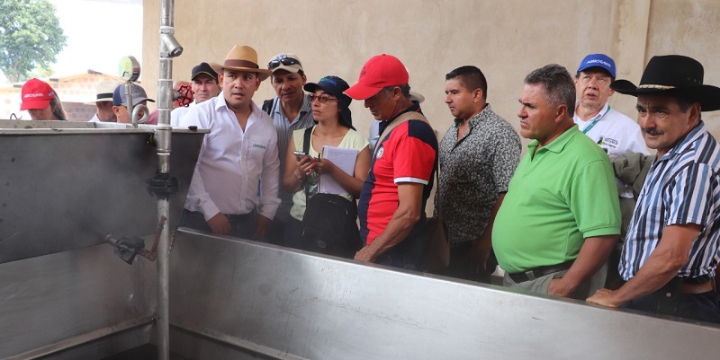 Paneleros cundinamarqueses con hornilla innovadora creada por Agrosavia 