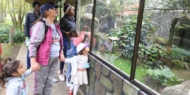 Un día inolvidable para niños y niñas de las comunidades afro e indígenas de Cundinamarca 











