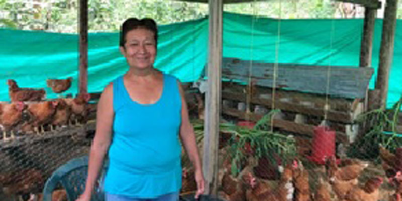 42 mujeres de Viotá beneficiadas con proyectos productivos de gallinas y huevos
