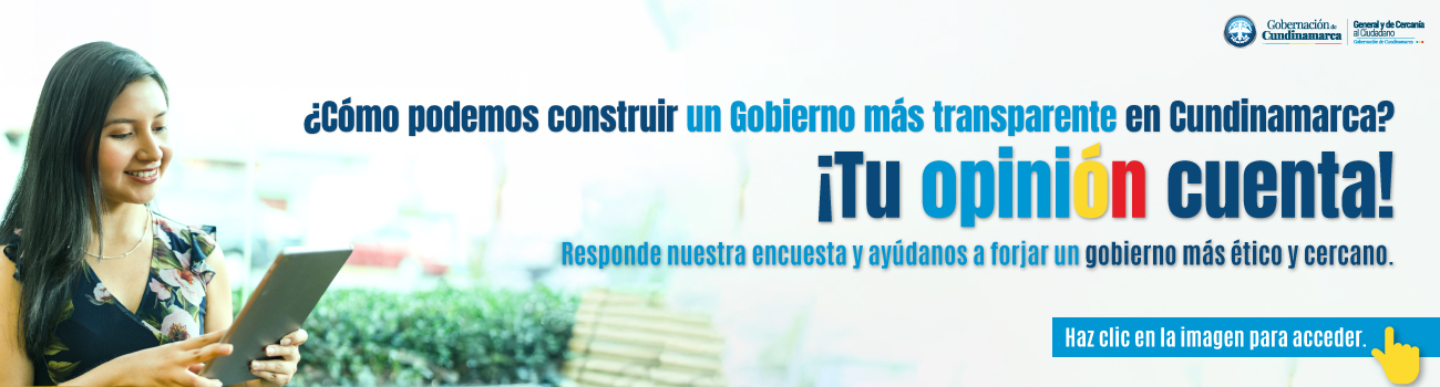 ENCUESTA_WEB_B1