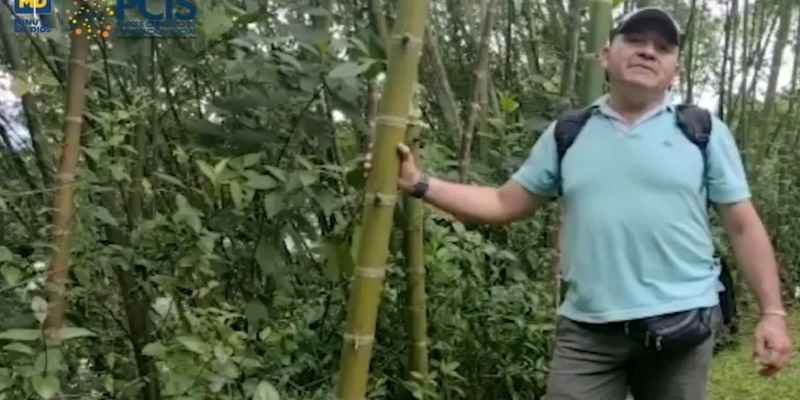 Cundinamarca eligió ganadores del concurso CTeI para la guadua










