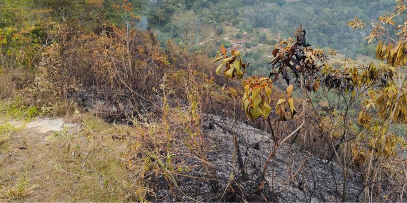 Cundinamarca reporta 15 incendios en 8 municipios, hay 90 hectáreas afectadas en dos días