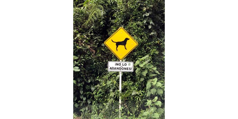 Cundinamarca cierra filas en torno a la protección y cuidado de los animales de compañía