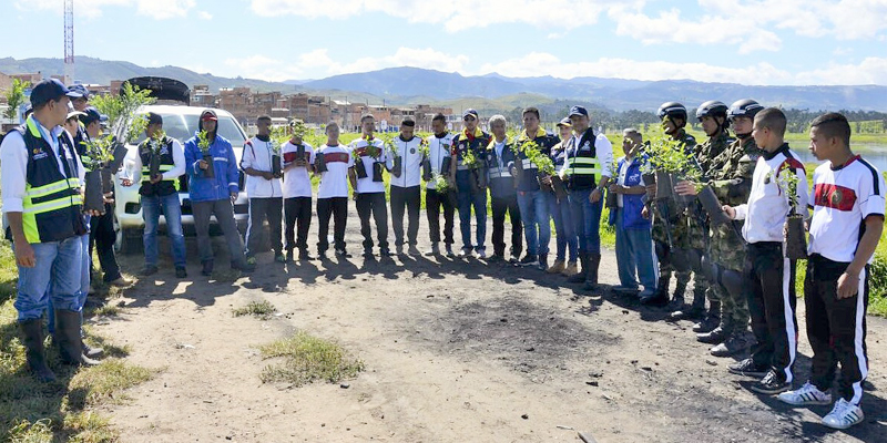 Siembra de 2.444 árboles en zonas afectadas por incendios forestales en Soacha



















