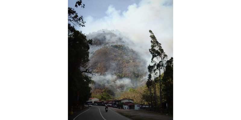 Controlado incendio forestal en Ubalá y se trabaja para mitigar el de Quetame


